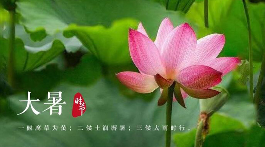 大暑時節！金環電器提醒大家要注意的事項